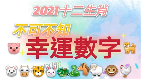 屬兔的幸運數字|12生肖「幸運數字」曝光！專家：掌握好一生富貴